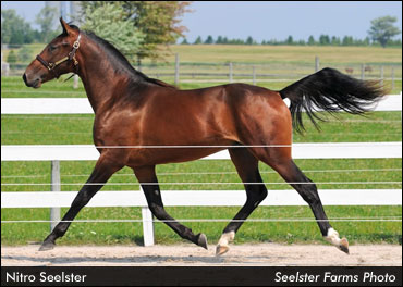 Nitro Seelster Tops FCYS Day 1