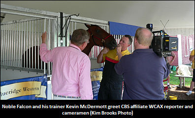 Noble Falcon Retired