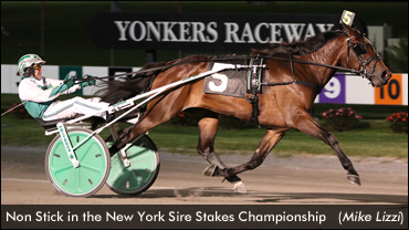 Freshmen Star In NY Championships