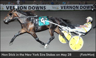 Non Stick Stays Undefeated In NY Stakes