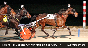 Noone To Depend On Wires Open Mares