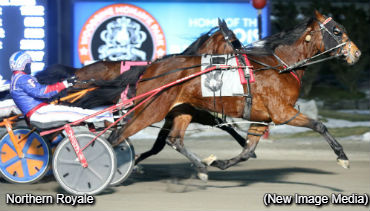 Northern Royale Wins Wine & Roses