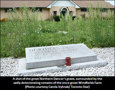 Windfields Memorial Left In Sad Limbo