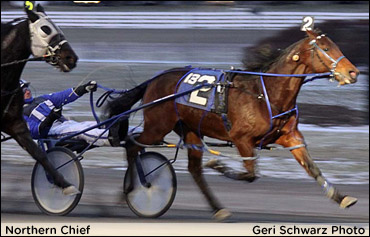 'Chief' Records 15th Consecutive Win