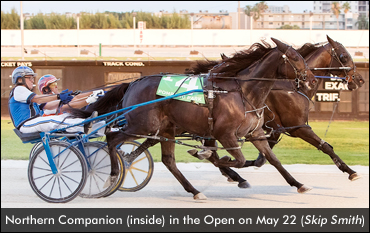 "The Definition Of A Racehorse"