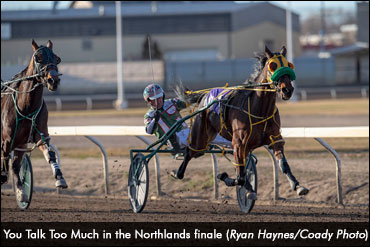 Northlands Hosts Final Harness Races