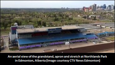 Reflection After Northlands Auction 