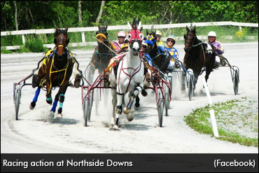 Northside Paddock Meeting Details