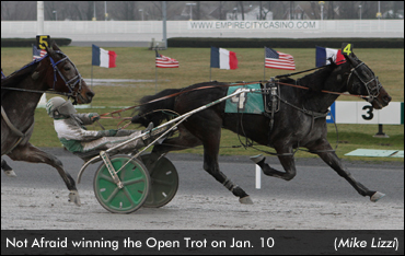 Not Afraid Delivers In Open Trot