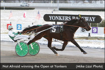 Not Afraid Wins Yonkers Open Trot