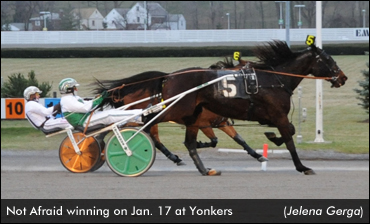 Not Afraid Repeats In Open Trot