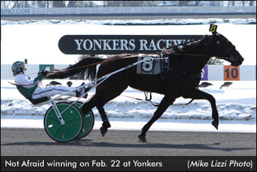 Not Afraid Wins Yonkers Open Trot