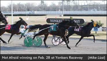 Not Afraid Triumphs In Open Trot