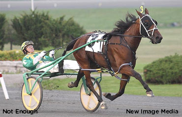 Stakes Records Fall In CBCs