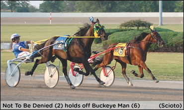 Not To Be Denied Takes Dream Of Glory 