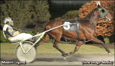 Blizzard And Snowshoe Series Sequels