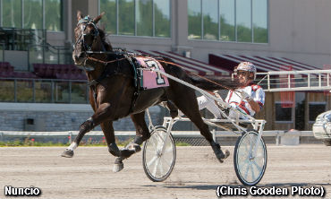 Nuncio With A Stakes Sweep