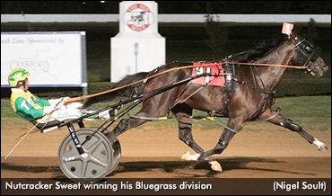 Nutcracker Sweet Quickest In Bluegrass