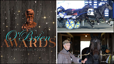 The Mare That Was So Much More