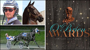 Major Custard Cuts The Mustard