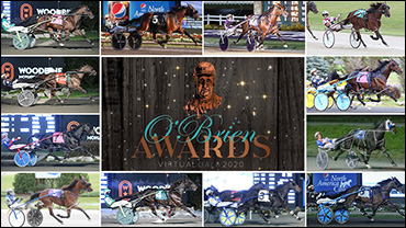 Which Pacer Could Win Horse Of The Year?