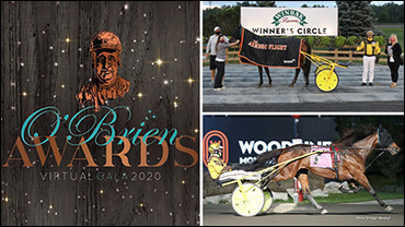 Hey Livvy Is Worth The Wait