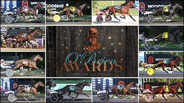 Which Trotter Could Win Horse Of The Year?