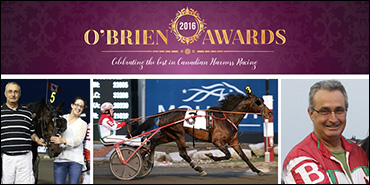 Trotter Finds Winning 'Rhythm'