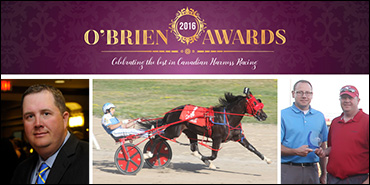 Sports Column Makes Headlines