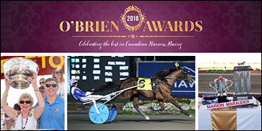 "Dream Come True" For Wellwood