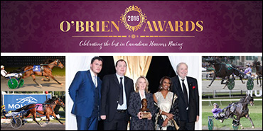 Owner Has One 'Hill' Of A Year