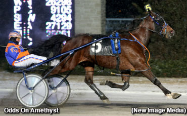 Speed Show For Odds On Amethyst