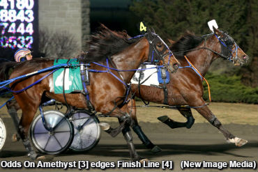 Odds On Amethyst Doubles Up