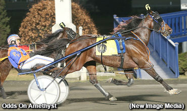 Hat Trick For Odds On Amethyst