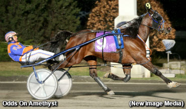 Grand Slam For Odds On Amethyst