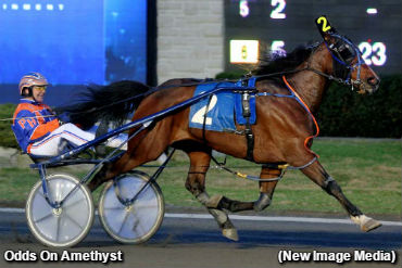 Five Straight For Odds On Amethyst