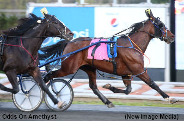 No Stopping Odds On Amethyst!