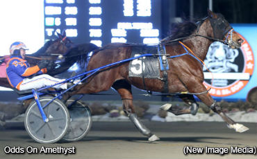 Odds On Amethyst Mows Them Down