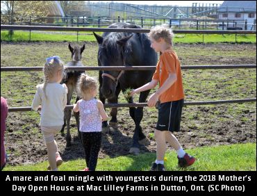 Mother’s Day Open Houses Dazzle
