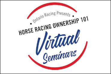 Learn Virtually About Horse Ownership