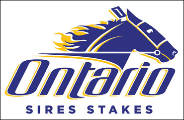 Filly Trotters Debut In OSS Gold Series