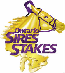 Improvements To OSS Stallion Directory