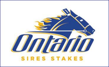 Reminder: 2019 OSS Yearling Noms