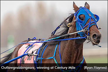 Outlawgrabbingears Romps In Preferred