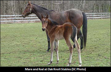 Breeding Farm Open House Successful 
