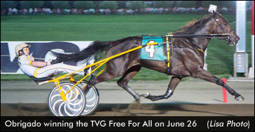 Obrigado Triumphs In TVG Trot