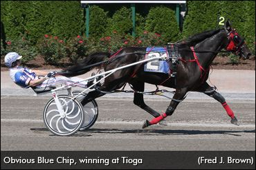 Steacy 'Obvious'-ly Means Business