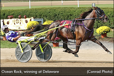 Takter Trio Debuts Impressively