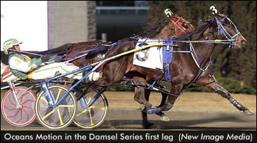 Popular 'Damsels' Win At Woodbine