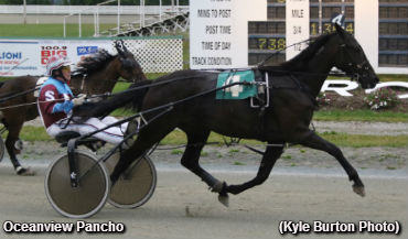 Truro Hosts Stakes Smorgasbord 